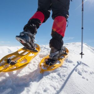 Ruta con Raquetas de Nieve Primeras Huellas